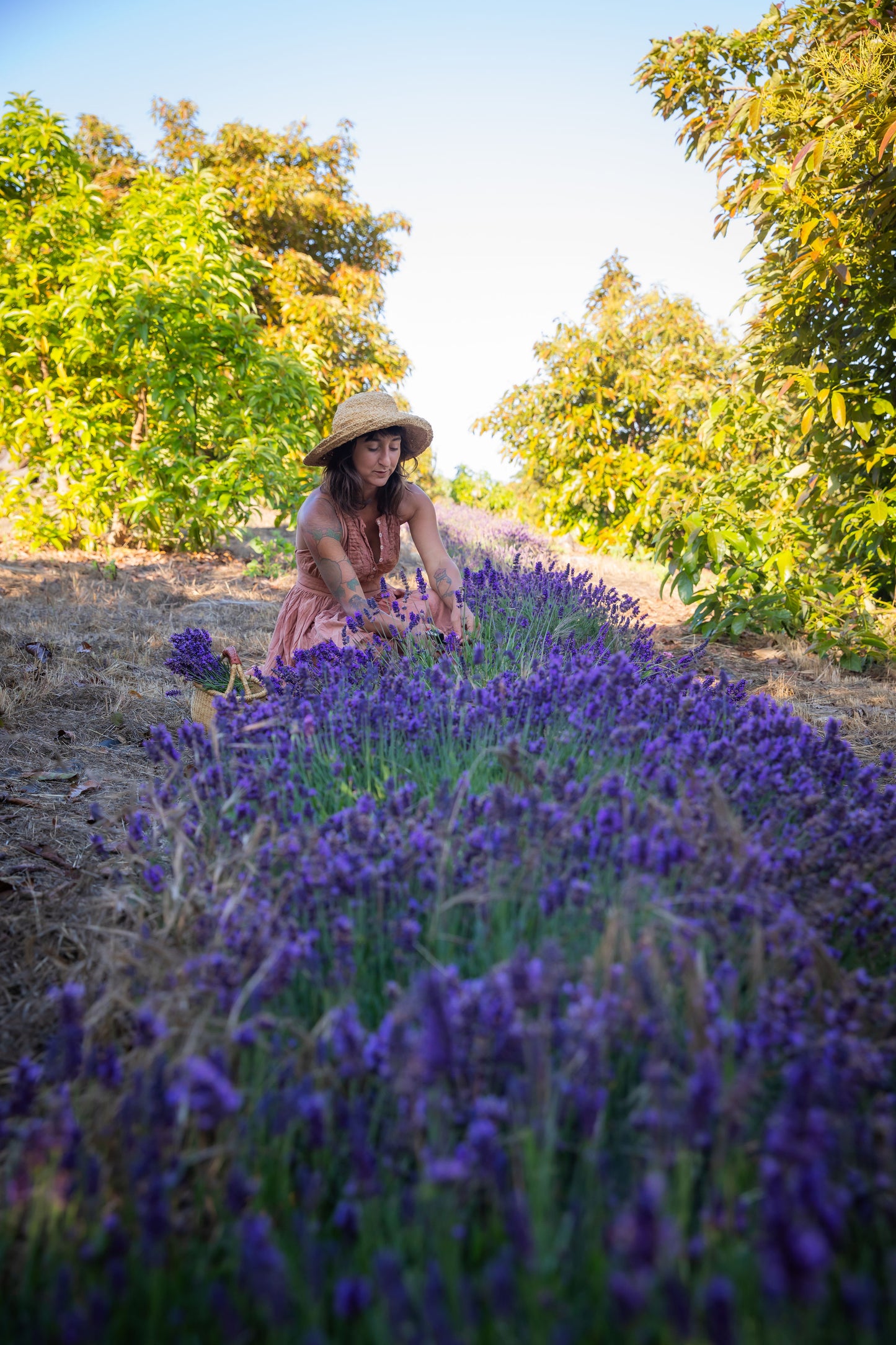 Lavender Essential Oil Roll On