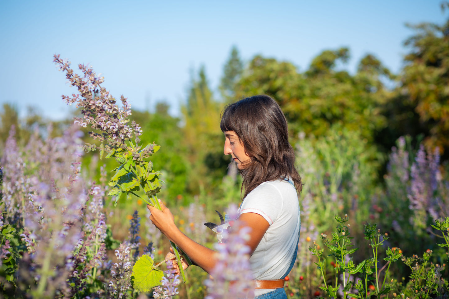 Clary Sage Essential Oil Roll On