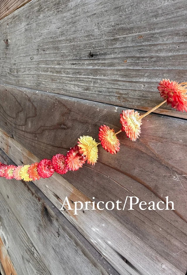 Strawflower Garlands