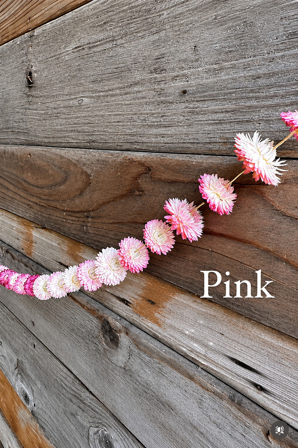 Strawflower Garlands