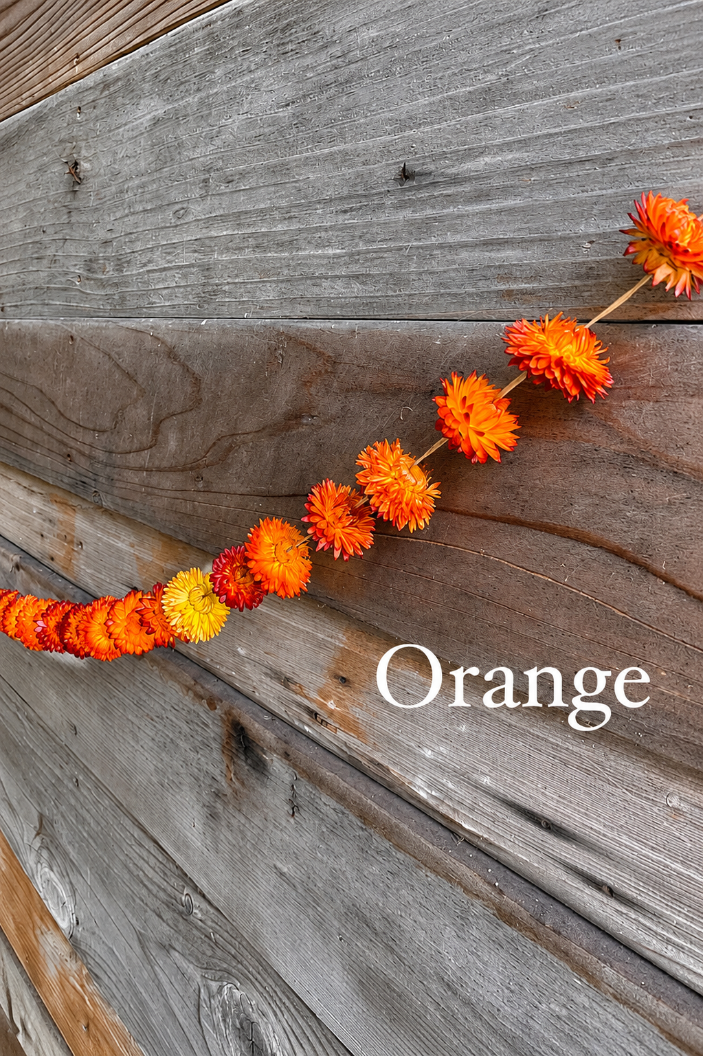 Strawflower Garlands