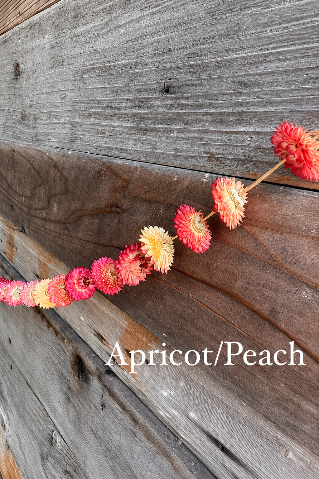Strawflower Garlands