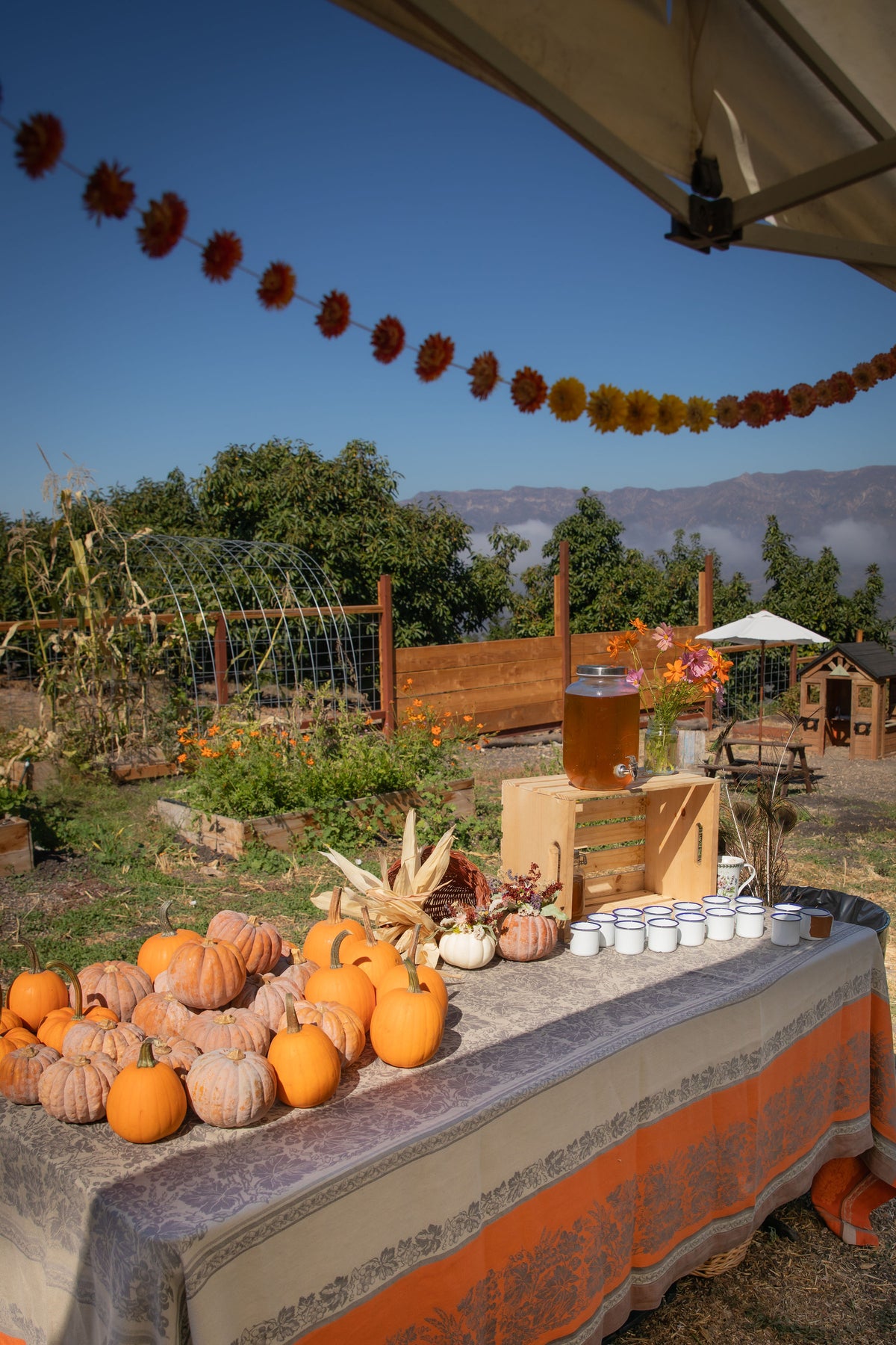Fall Pumpkin Decorating Workshop
