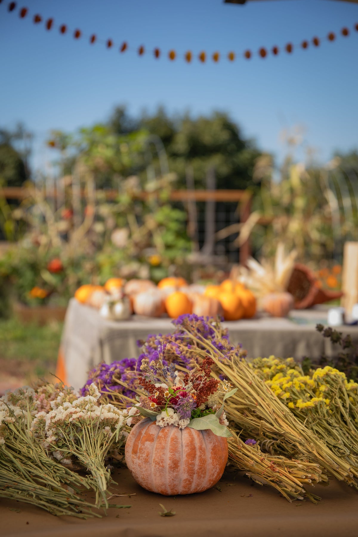 Fall Pumpkin Decorating Workshop