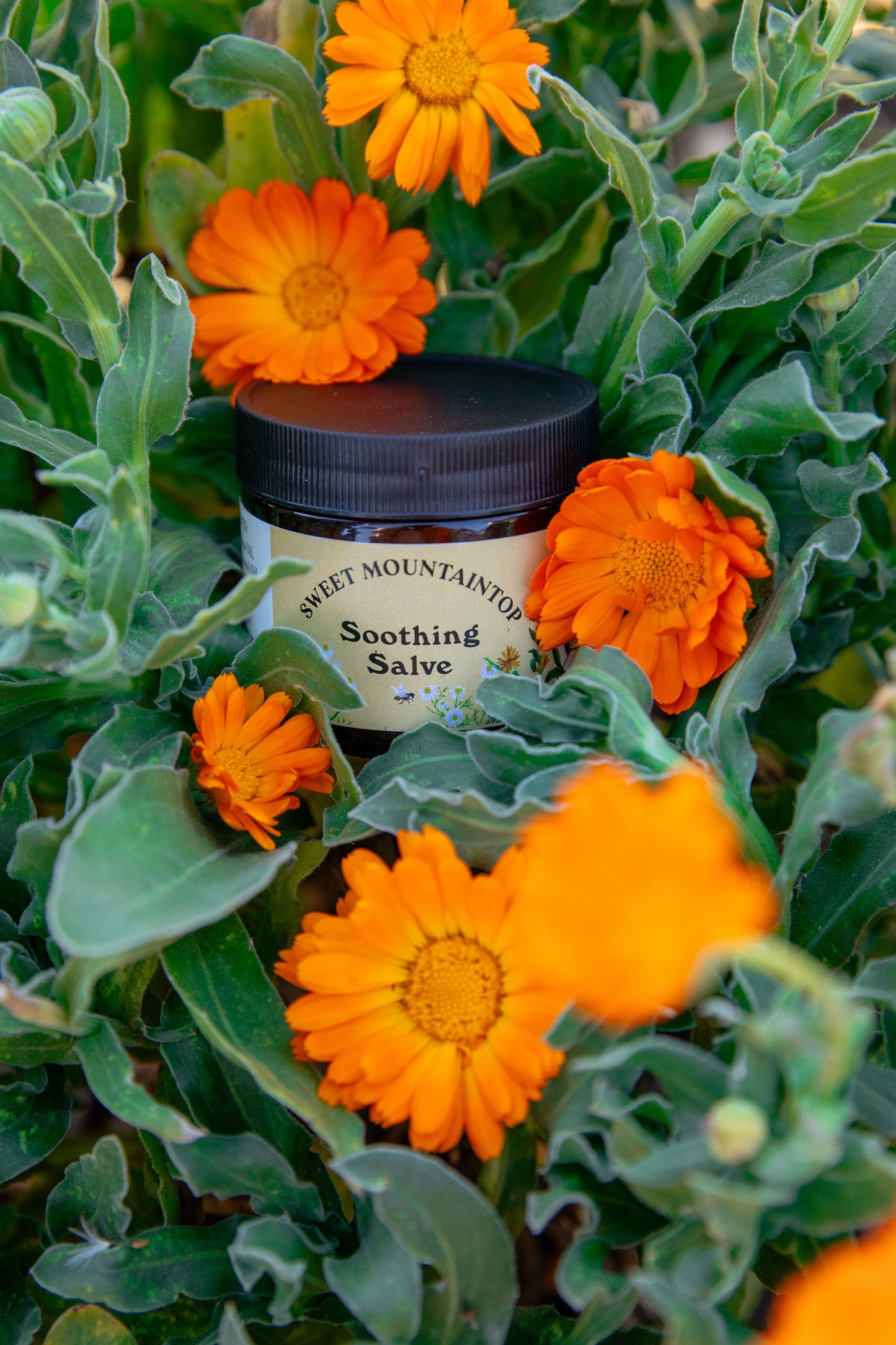 Soothing Salve