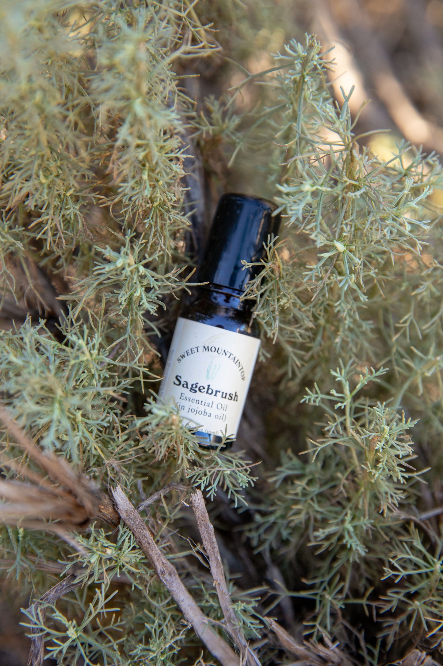 100% Pure Sagebrush Essential Oil