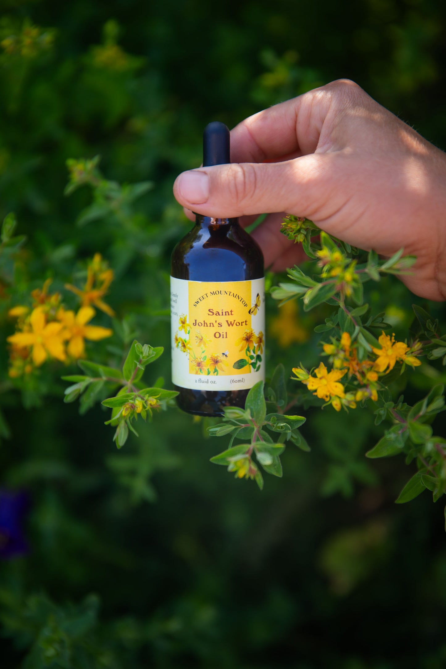 Saint John's Wort Oil